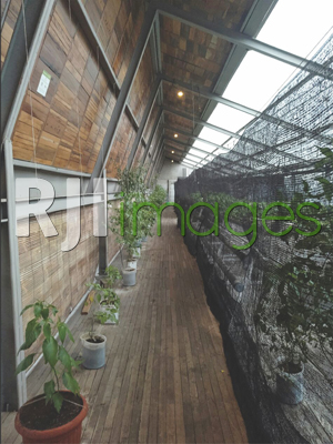 Aplikasi kombinasi kayu, bamboo, dan baja ekspos  pada bangunan modern