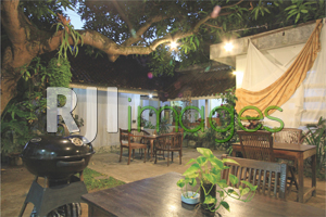 Area halaman belakang dengan kesan sederhana nan asri