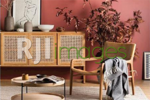 INSTAGRAMABLE CAFÉ dengan Permainan Warna-warna Tropis