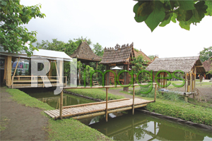 Jembatan bambu yang menyambut tamu yang datang