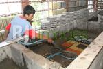 Proses pematangan ubin dengan cara direndam